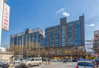 金井杀白蚁公司